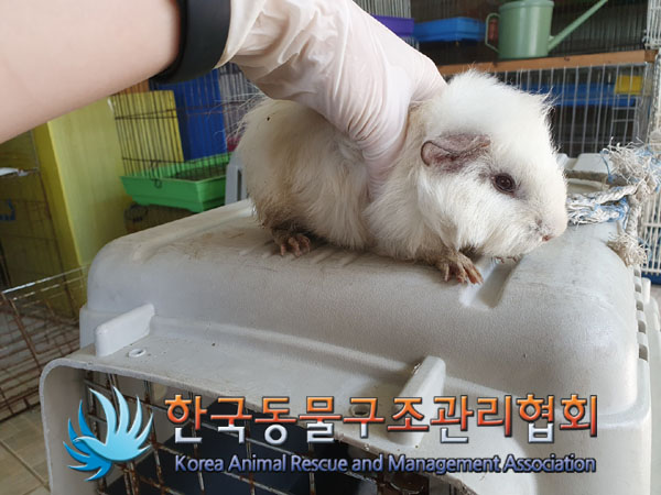 한국동물구조관리협회_411323202300189